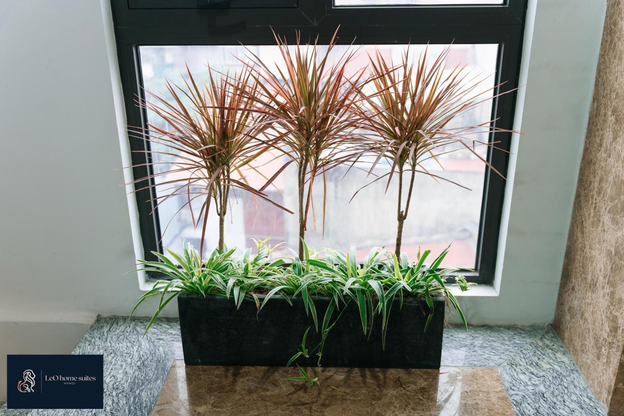 High-Ser Apartment -2Br - Niceview - Parking - Spacious - In Center 하노이 외부 사진